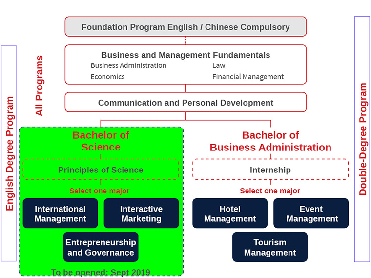 Bachelor program curricula